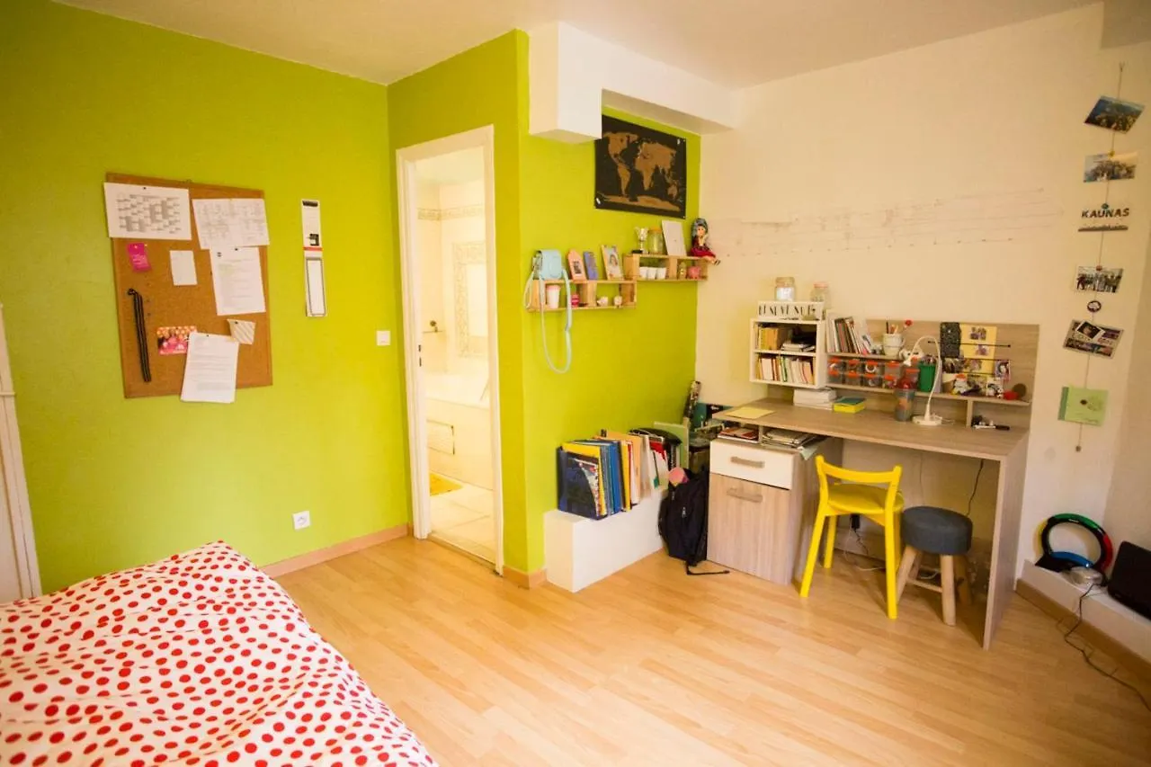 Large Souplex In The 10Th District Of Paris Apartamento